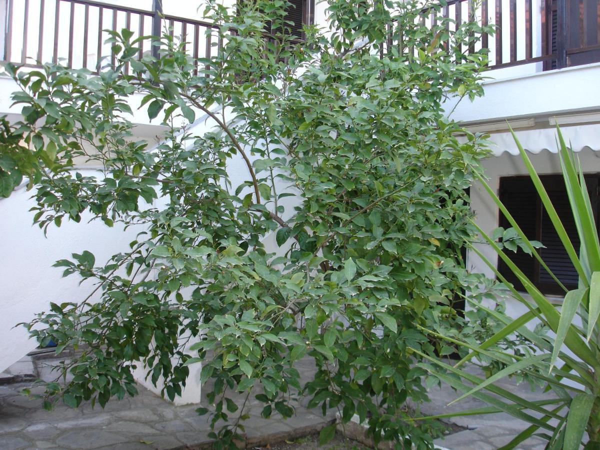 Dionysus-Mihanicus Ιερισσός Εξωτερικό φωτογραφία